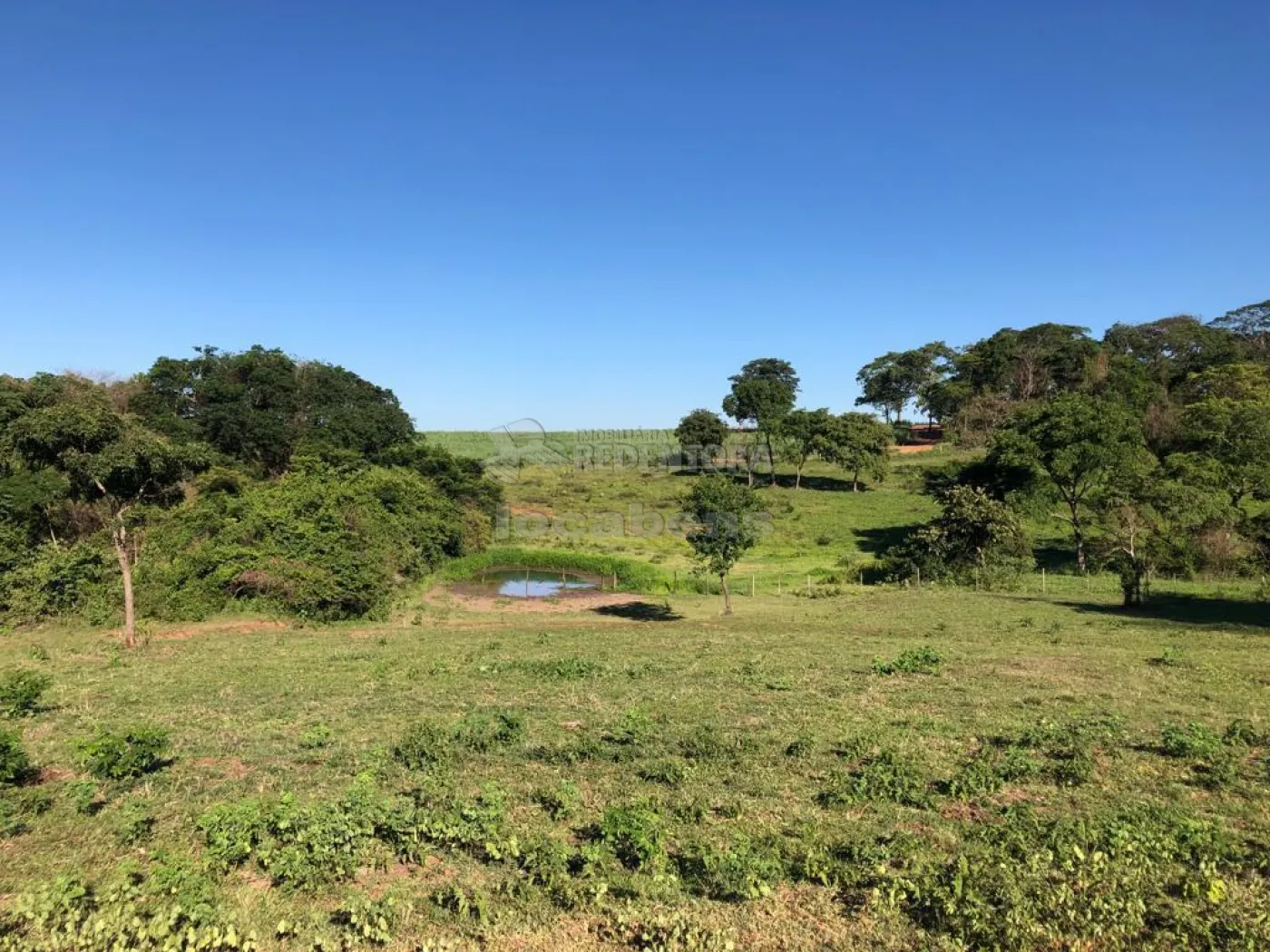 Fazenda-Sítio-Chácara, 56 hectares - Foto 17