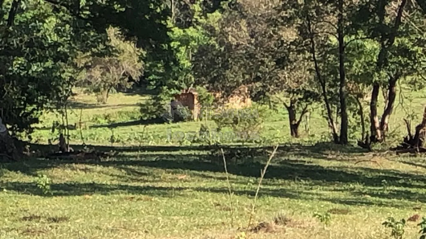 Fazenda-Sítio-Chácara, 56 hectares - Foto 19