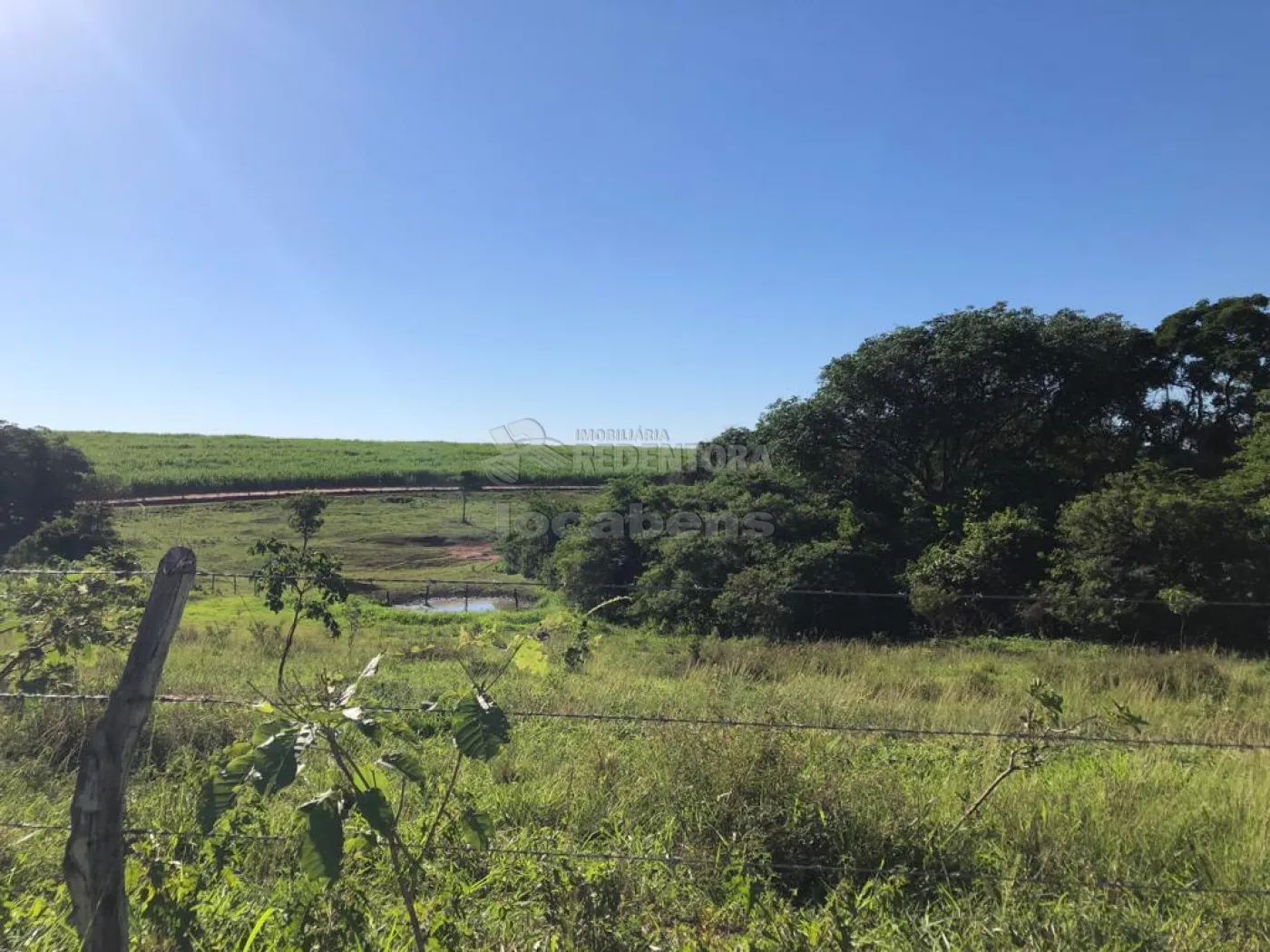 Fazenda-Sítio-Chácara, 56 hectares - Foto 21