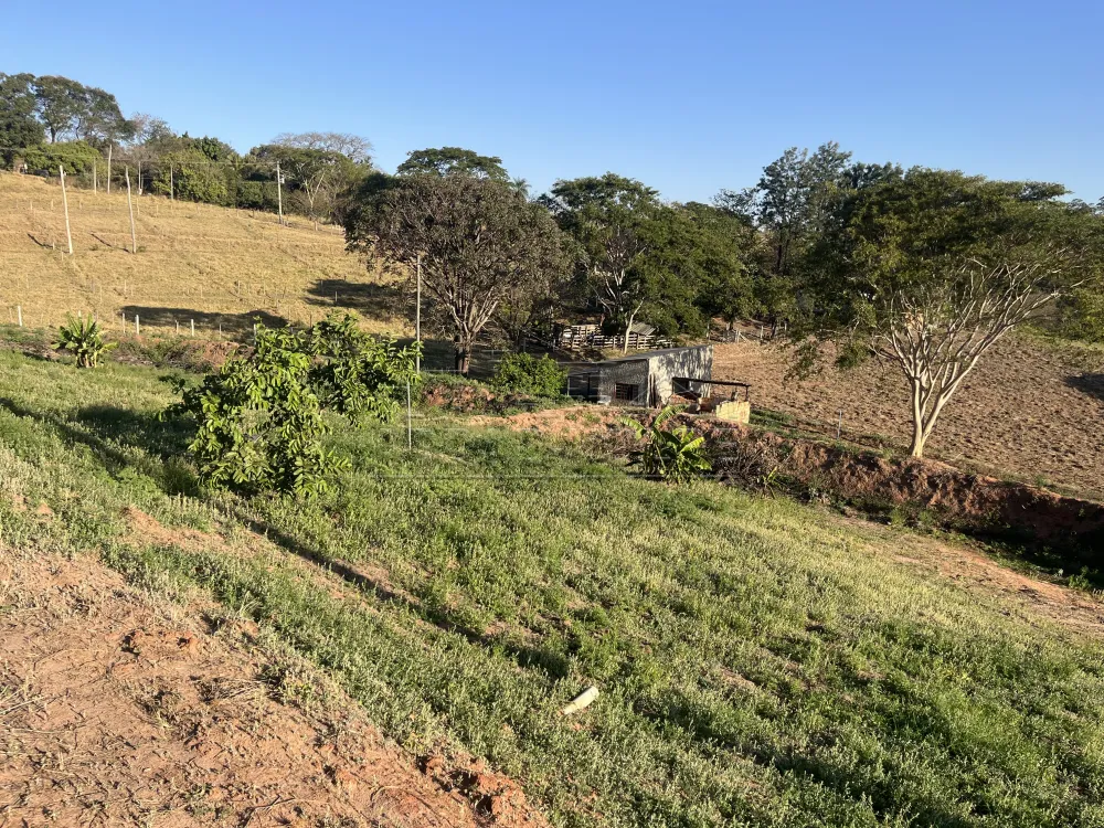 Comprar Rural / Ch&aacute;cara em Bauru R$ 1.200.000,00 - Foto 18