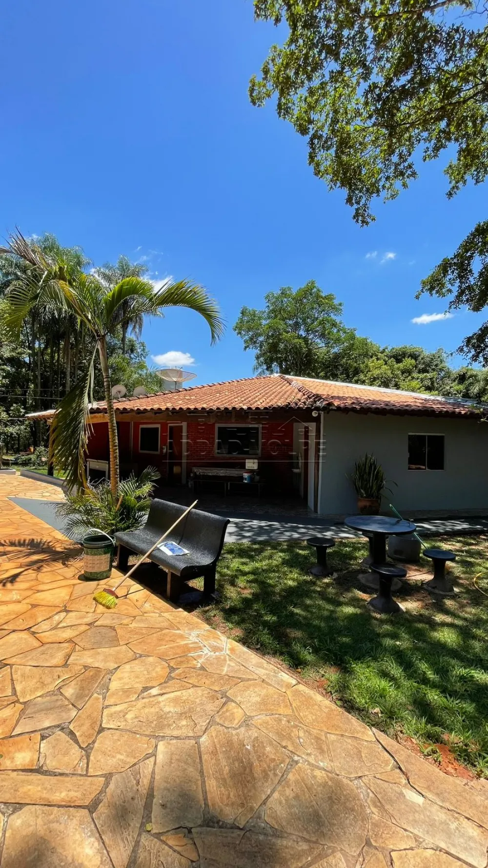 Comprar Rural / Ch&aacute;cara em Pederneiras R$ 550.000,00 - Foto 8