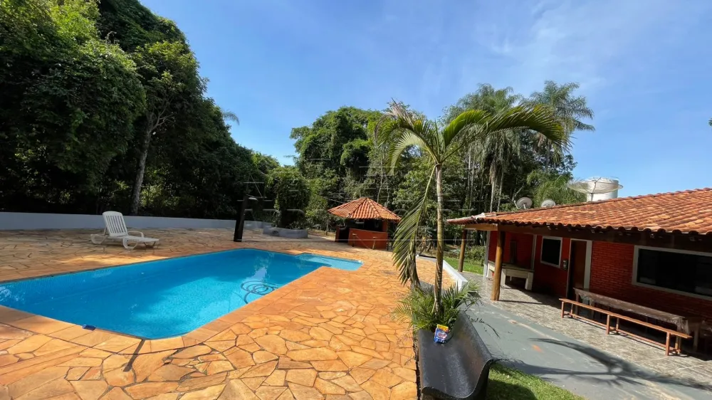Comprar Rural / Ch&aacute;cara em Pederneiras R$ 550.000,00 - Foto 1