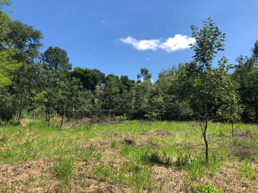 Comprar Terreno / &Aacute;rea em Bauru R$ 300.000,00 - Foto 1