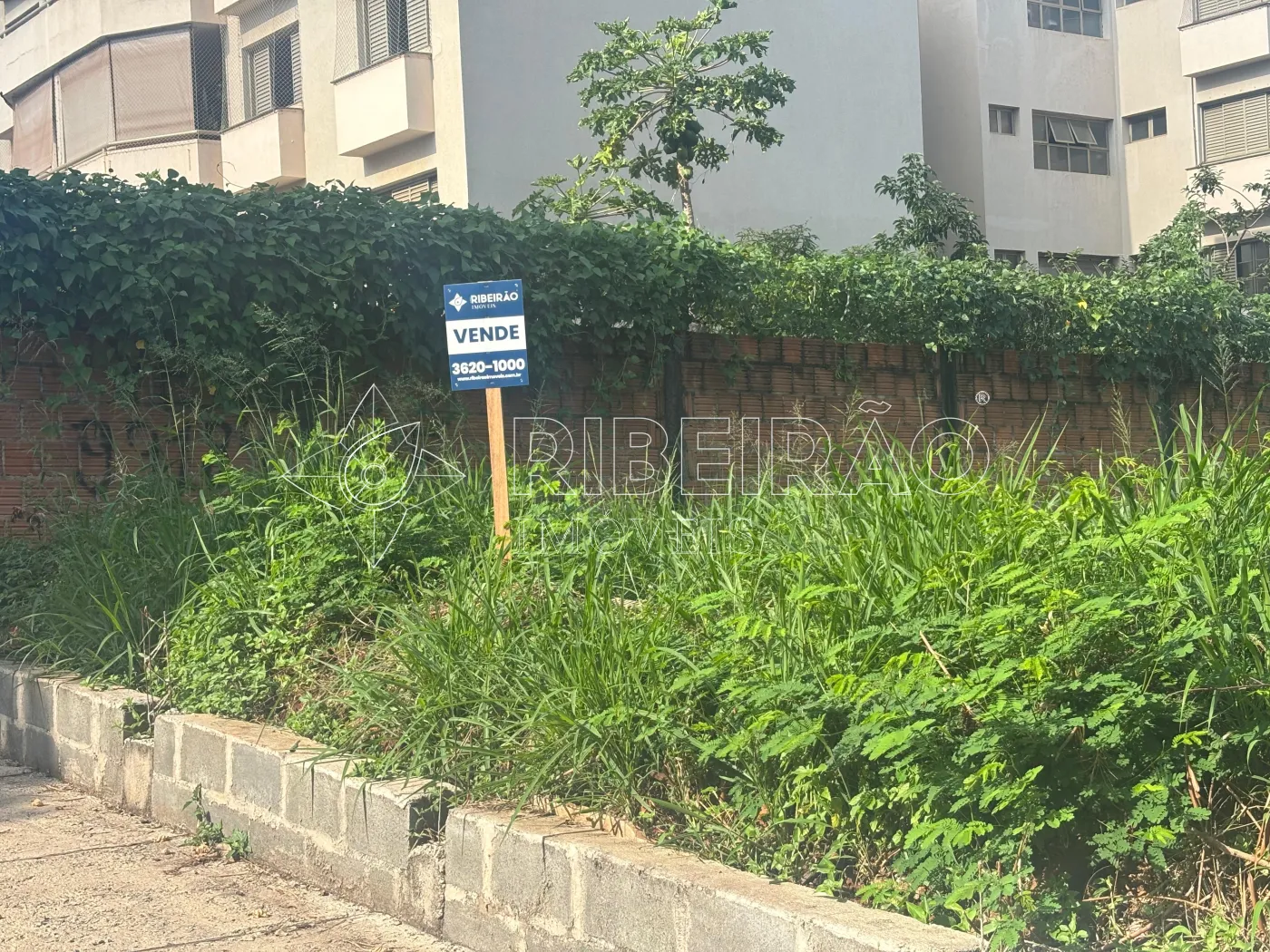 Comprar Terreno / &Aacute;rea em Ribeir&atilde;o Preto R$ 600.000,00 - Foto 2