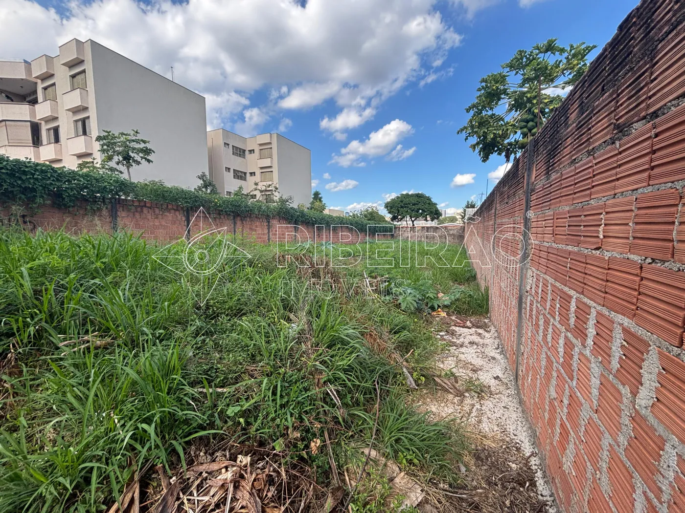 Comprar Terreno / &Aacute;rea em Ribeir&atilde;o Preto R$ 600.000,00 - Foto 3