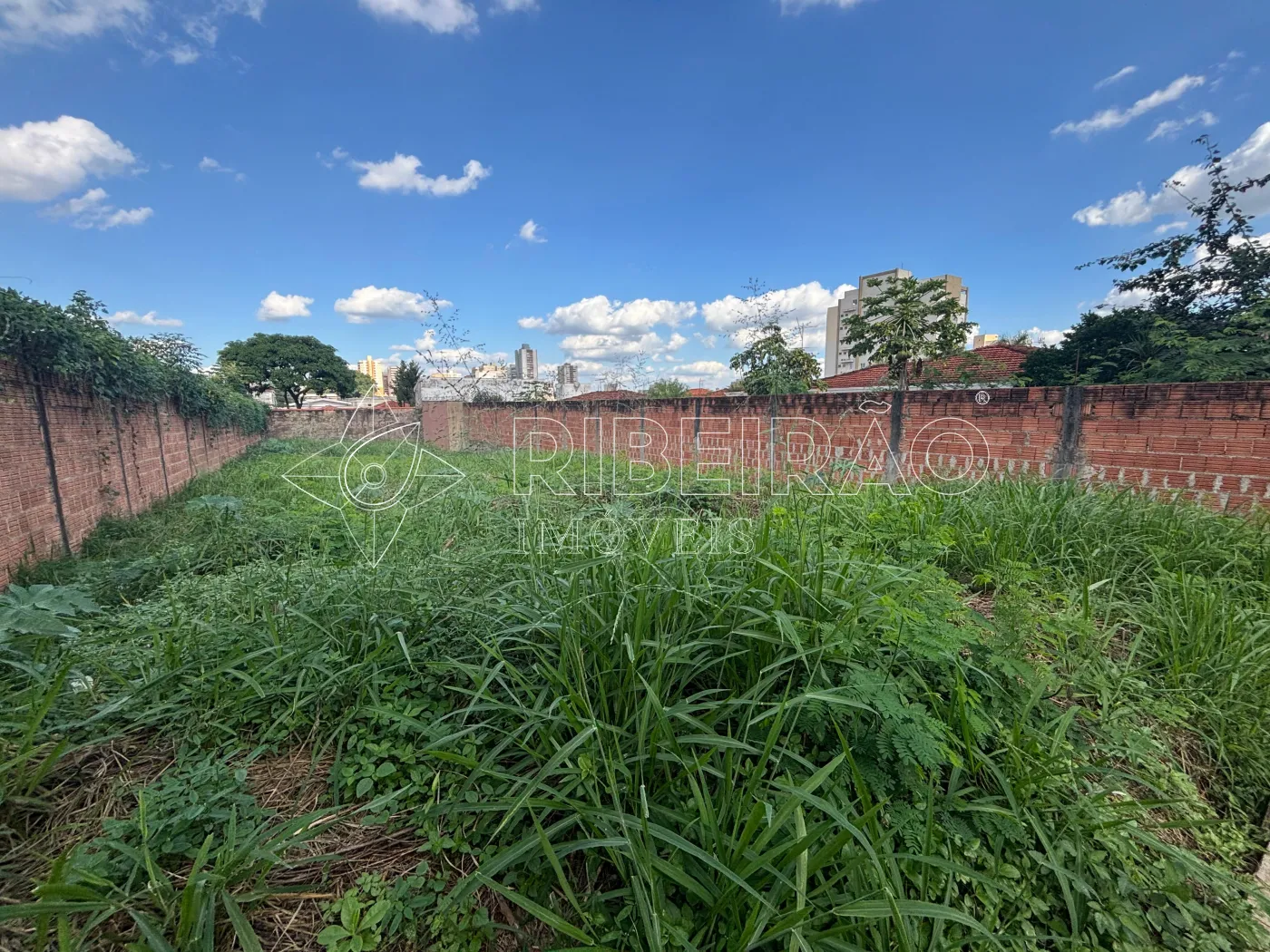 Comprar Terreno / &Aacute;rea em Ribeir&atilde;o Preto R$ 600.000,00 - Foto 6