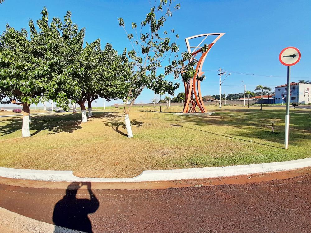 Comprar Casa / Condom&iacute;nio em Ribeir&atilde;o Preto R$ 2.200.000,00 - Foto 23