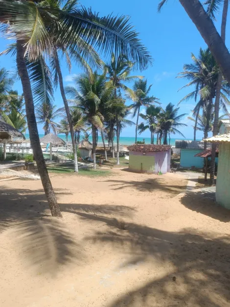 Terreno  Beira-mar - Lagoa do Pau - Coruripe