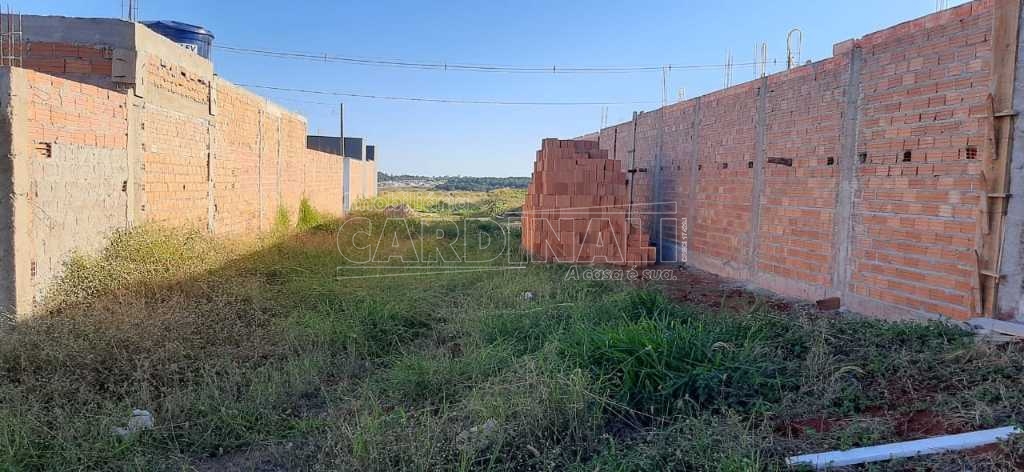 Terreno / Padrão em Araraquara 