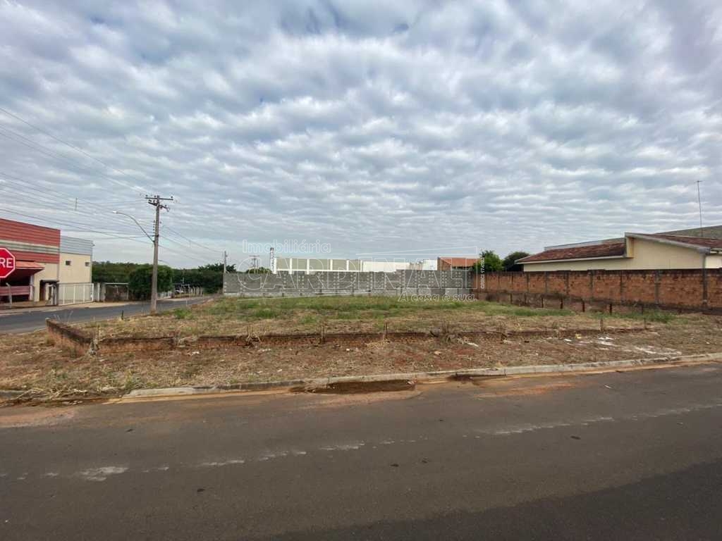 Terreno / Padrão em Araraquara 