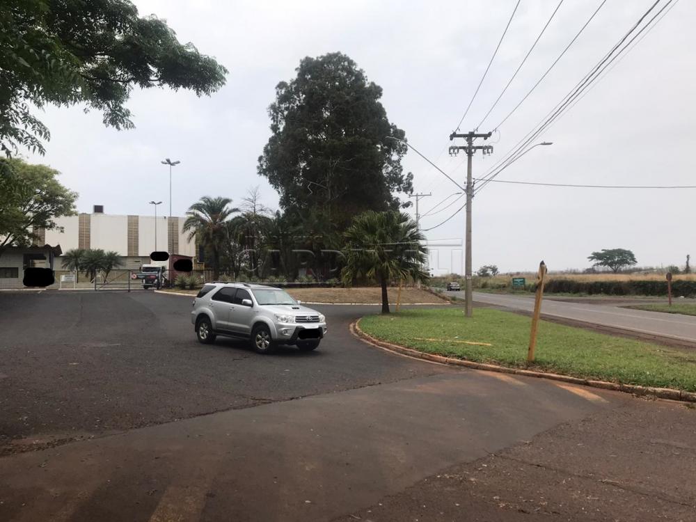 Rural / Área em Araraquara , Comprar por R$2.500.000,00