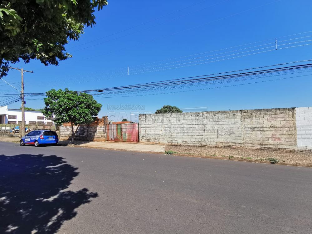 Terreno / Padrão em Araraquara Alugar por R$1.000,00