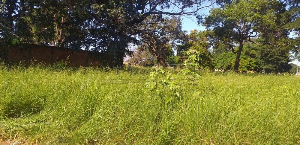 Terreno / Padrão em Araraquara , Comprar por R$120.000,00