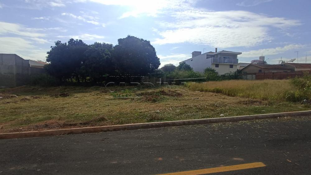 Terreno / Padrão em São Carlos , Comprar por R$170.000,00