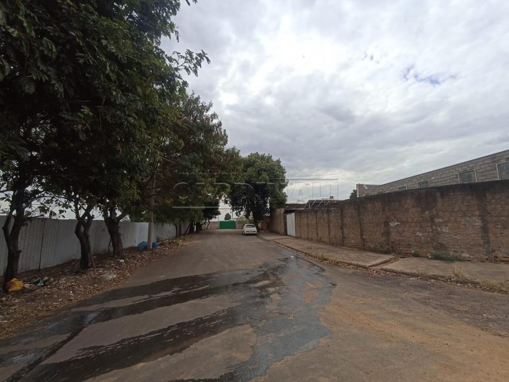 Comercial / Prédio em São Carlos , Comprar por R$1.800.000,00