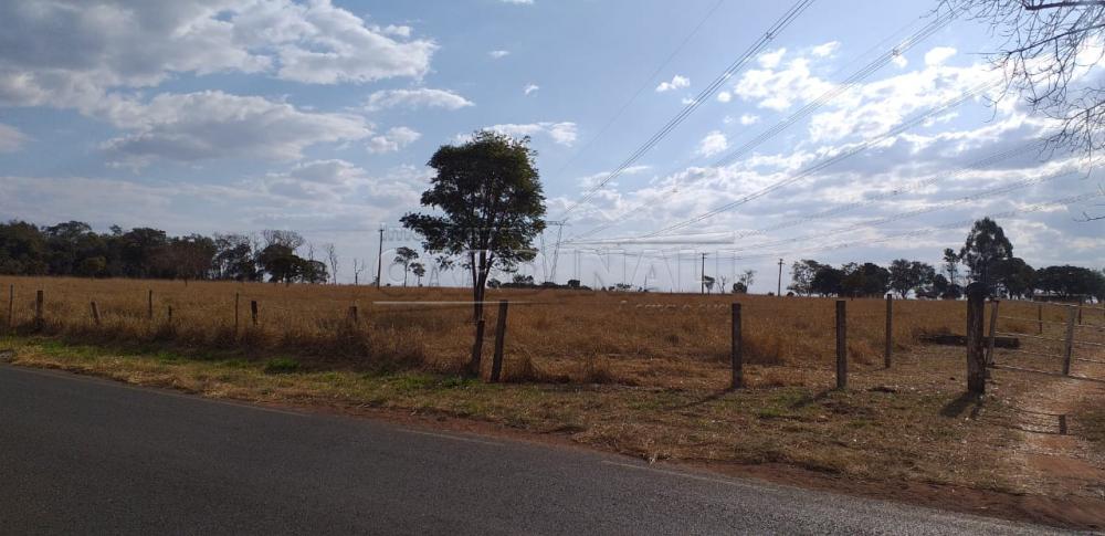 Rural / Sítio em Araraquara , Comprar por R$2.500.000,00