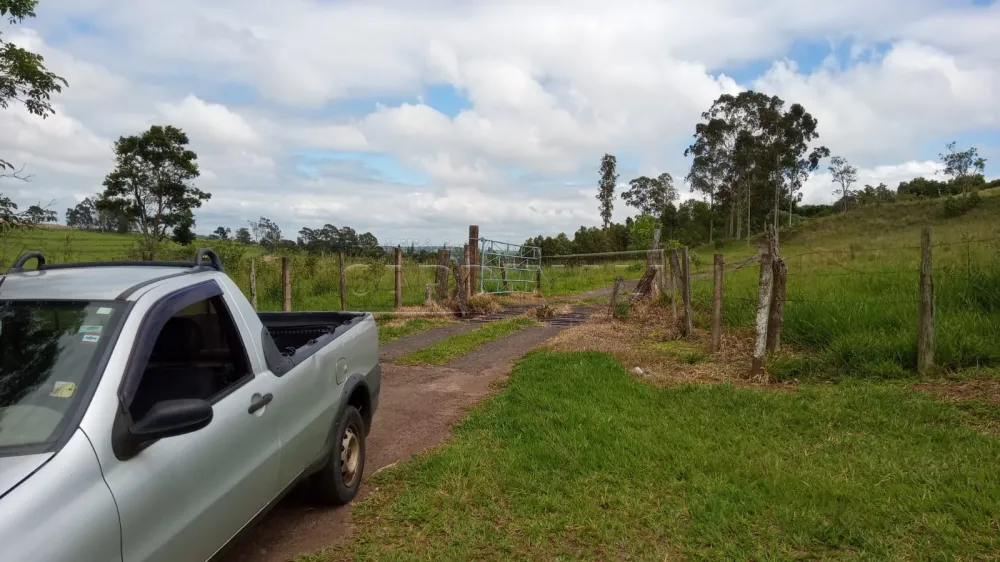 Rural / Área em São Carlos , Comprar por R$820.000,00