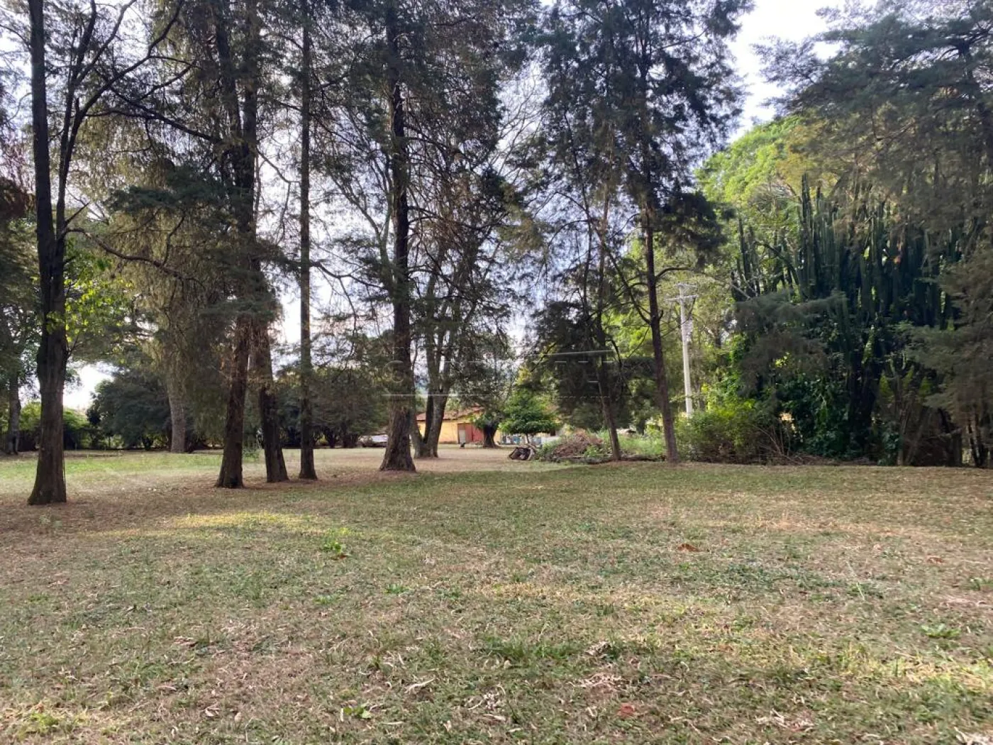 Rural / Área em São Carlos , Comprar por R$2.500.000,00