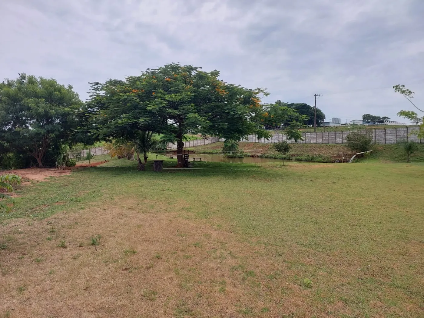 Rural / Chácara em Descalvado , Comprar por R$1.066.000,00