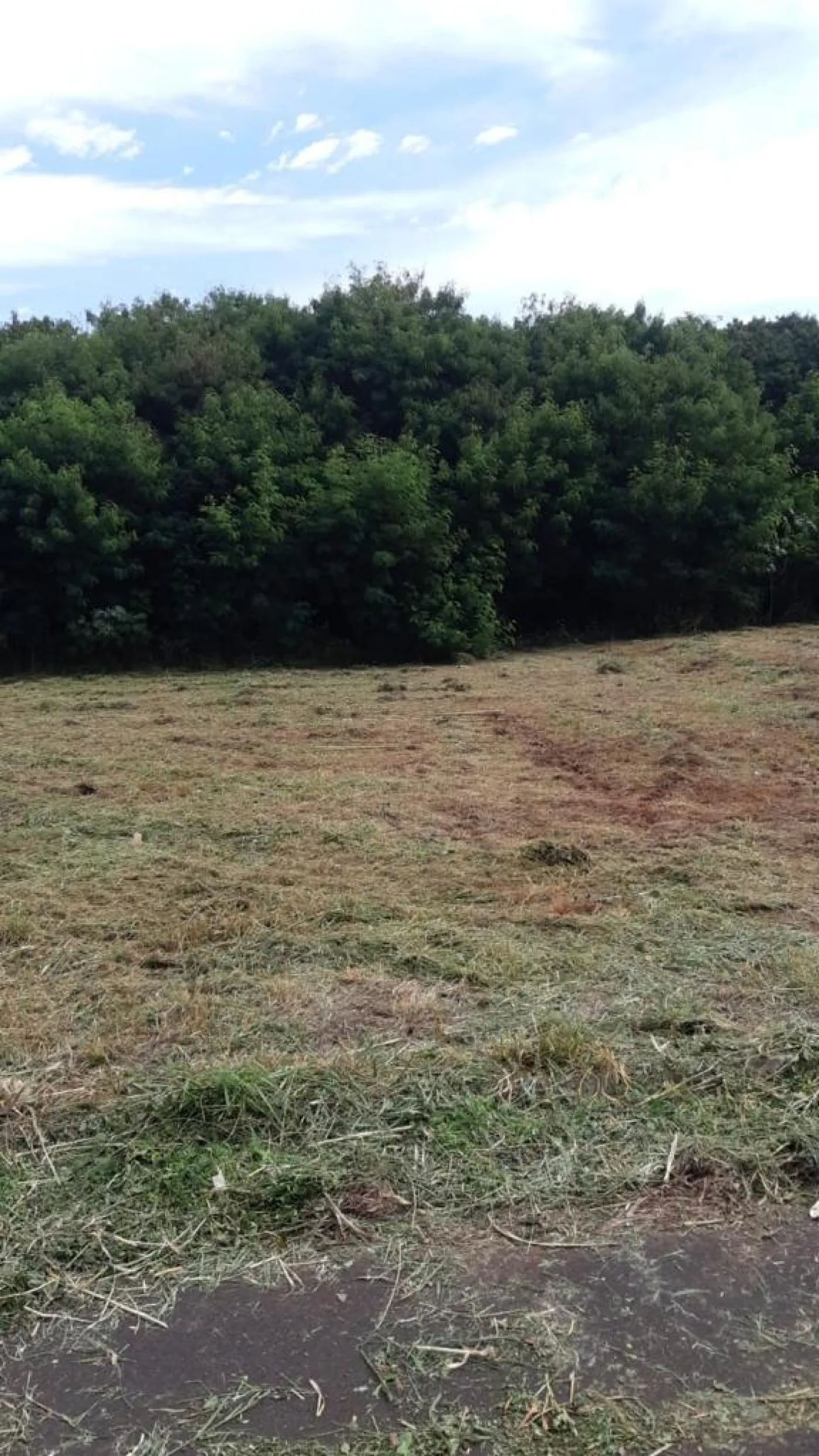 Terreno / Padrão em Araraquara , Comprar por R$210.000,00