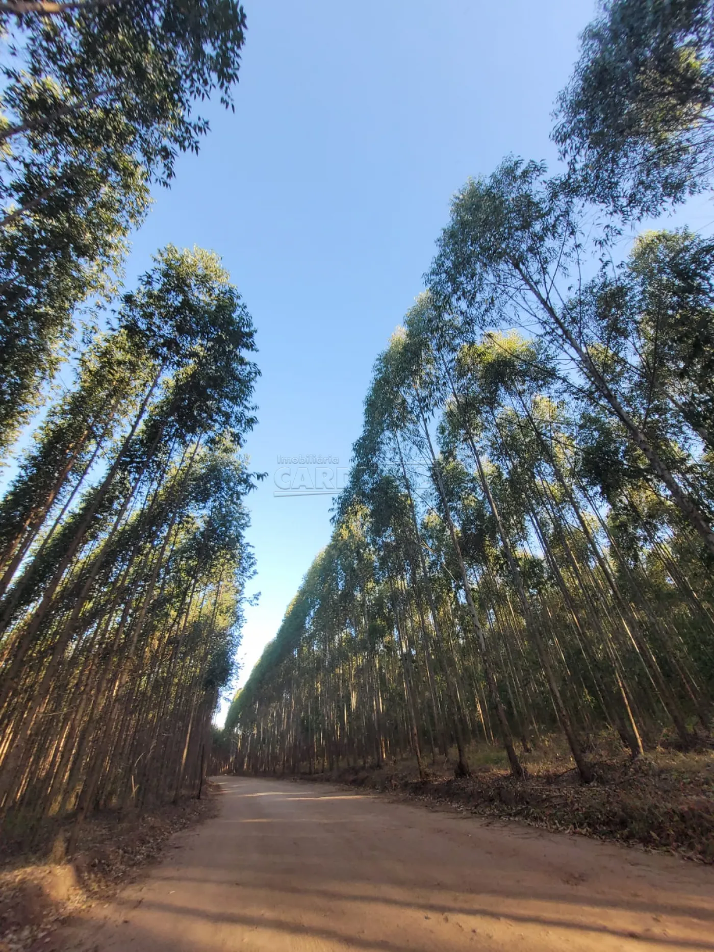 Rural / Chácara em Itirapina , Comprar por R$180.000,00