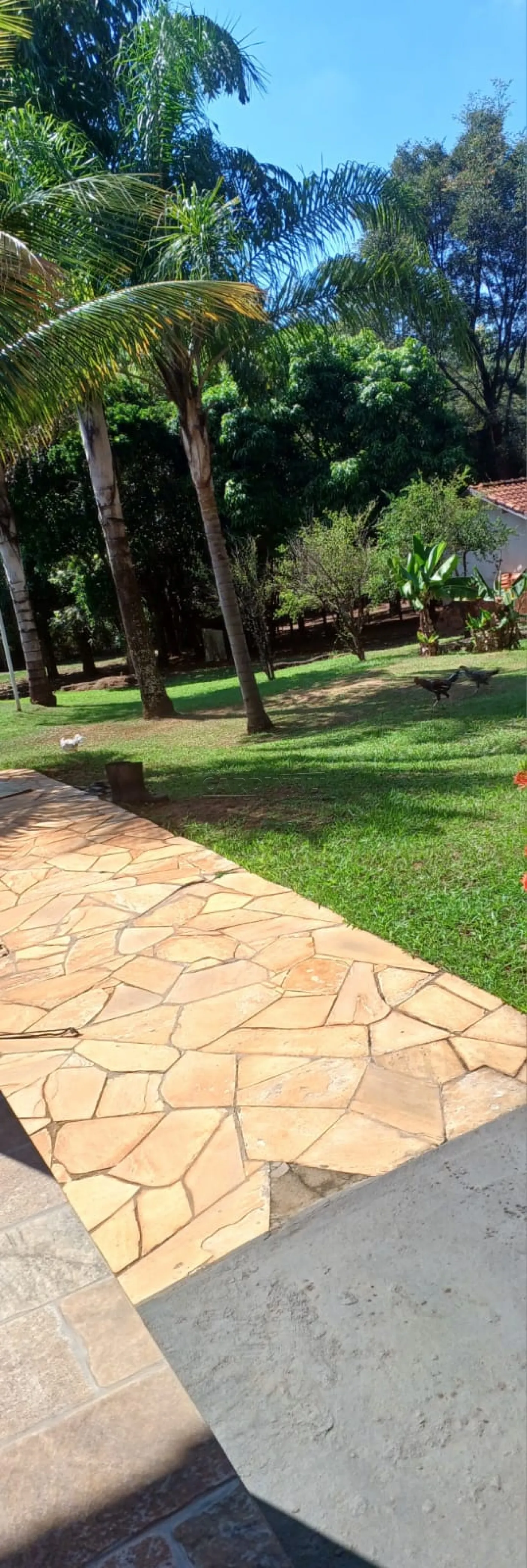 Rural / Chácara com Condomínio em São Carlos , Comprar por R$800.000,00