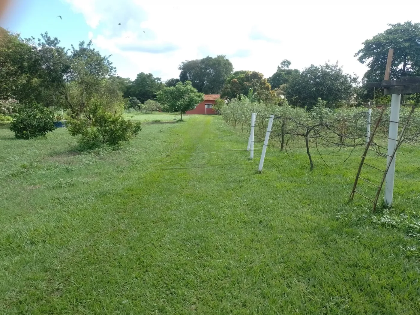 Rural / Chácara com Condomínio em São Carlos , Comprar por R$695.000,00