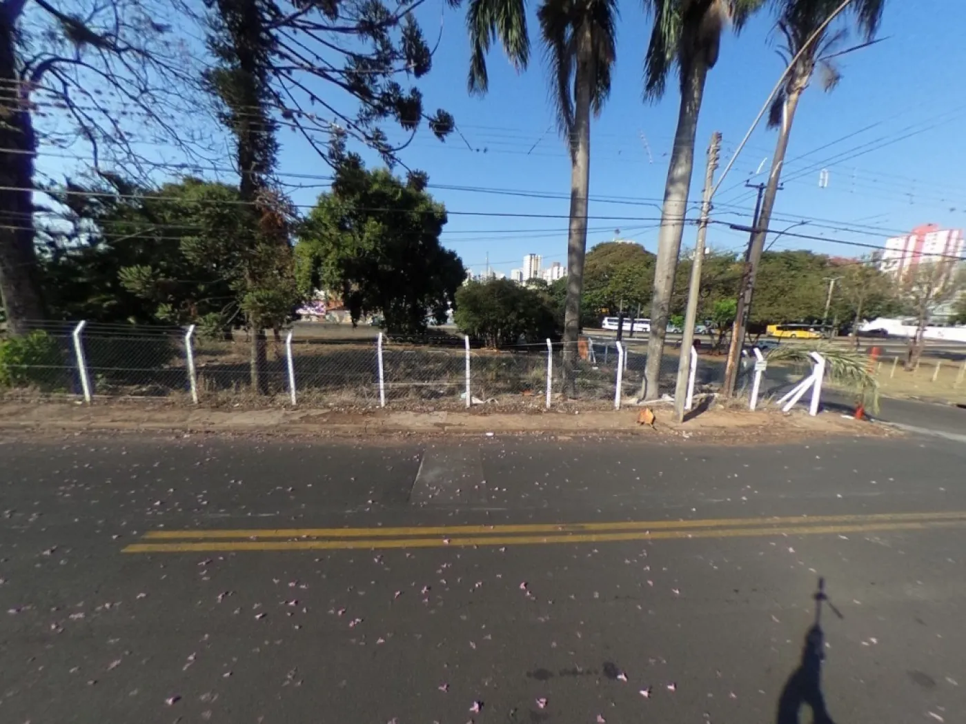 Terreno / Área em São Carlos , Comprar por R$2.127.000,00