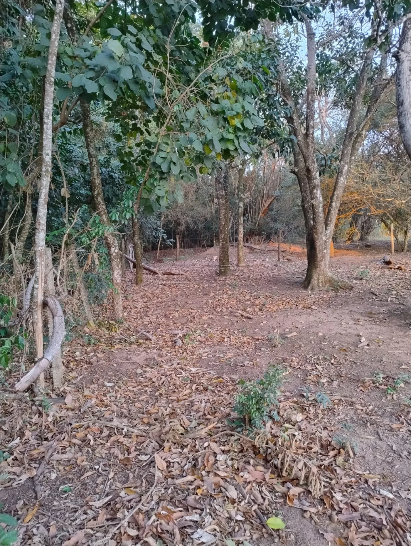 Rural / Terreno sem Condomínio em São Carlos , Comprar por R$230.000,00