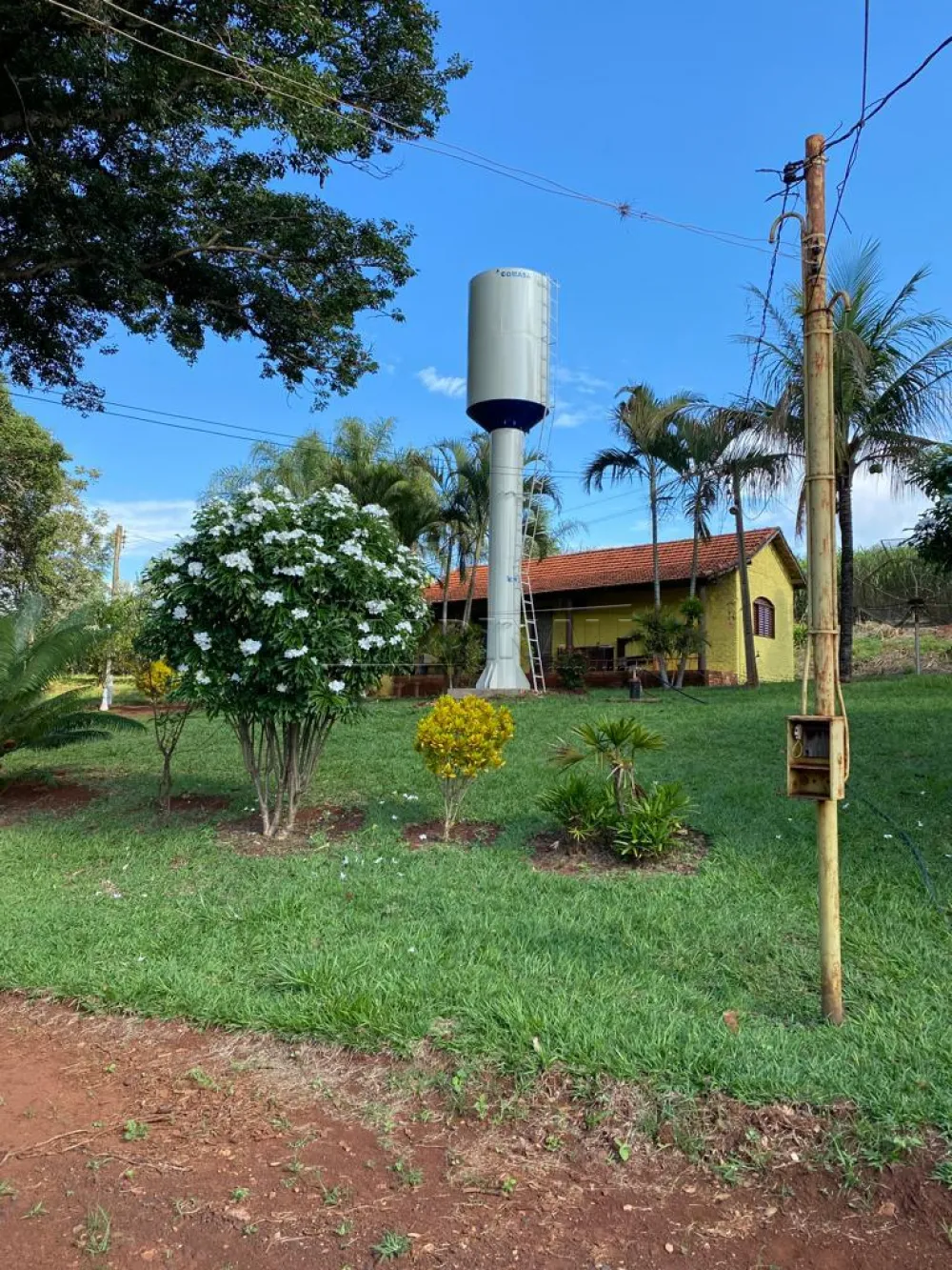 Rural / Chácara em Araraquara , Comprar por R$1.200.000,00