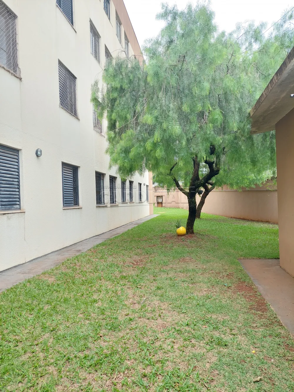 Alugar Apartamento / Padr&atilde;o em S&atilde;o Carlos R$ 1.650,00 - Foto 17