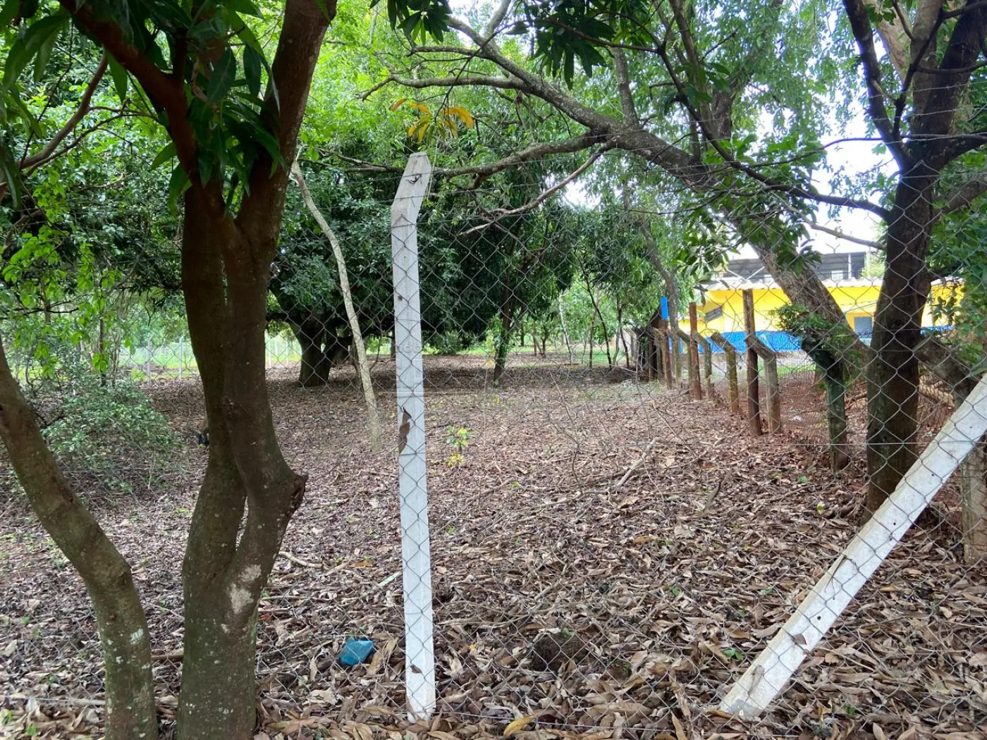 Terreno / Padrão em São Carlos , Comprar por R$260.000,00