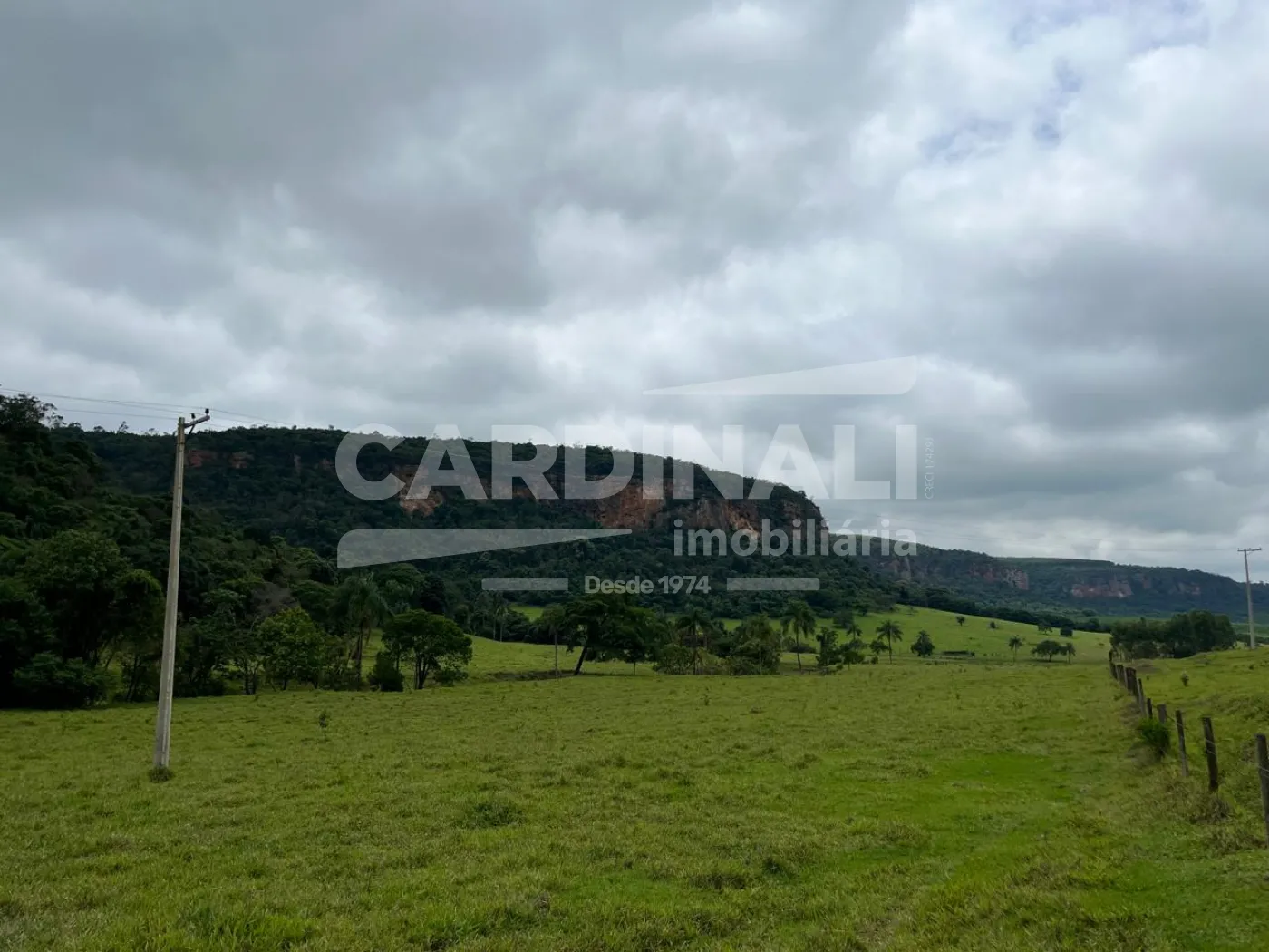 Rural / Fazenda em Analândia , Comprar por R$2.990.000,00