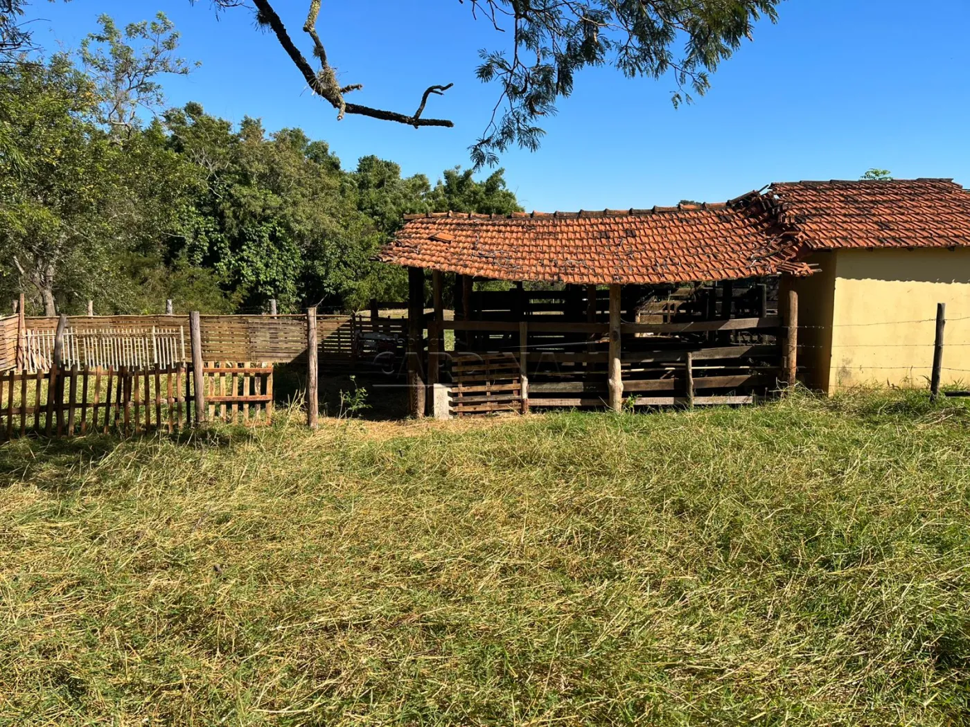 Rural / Sítio em Araraquara , Comprar por R$2.100.000,00