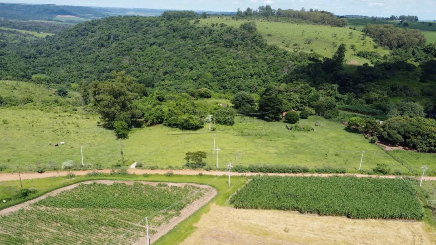 Rural / Sítio em São Carlos , Comprar por R$1.025.000,00