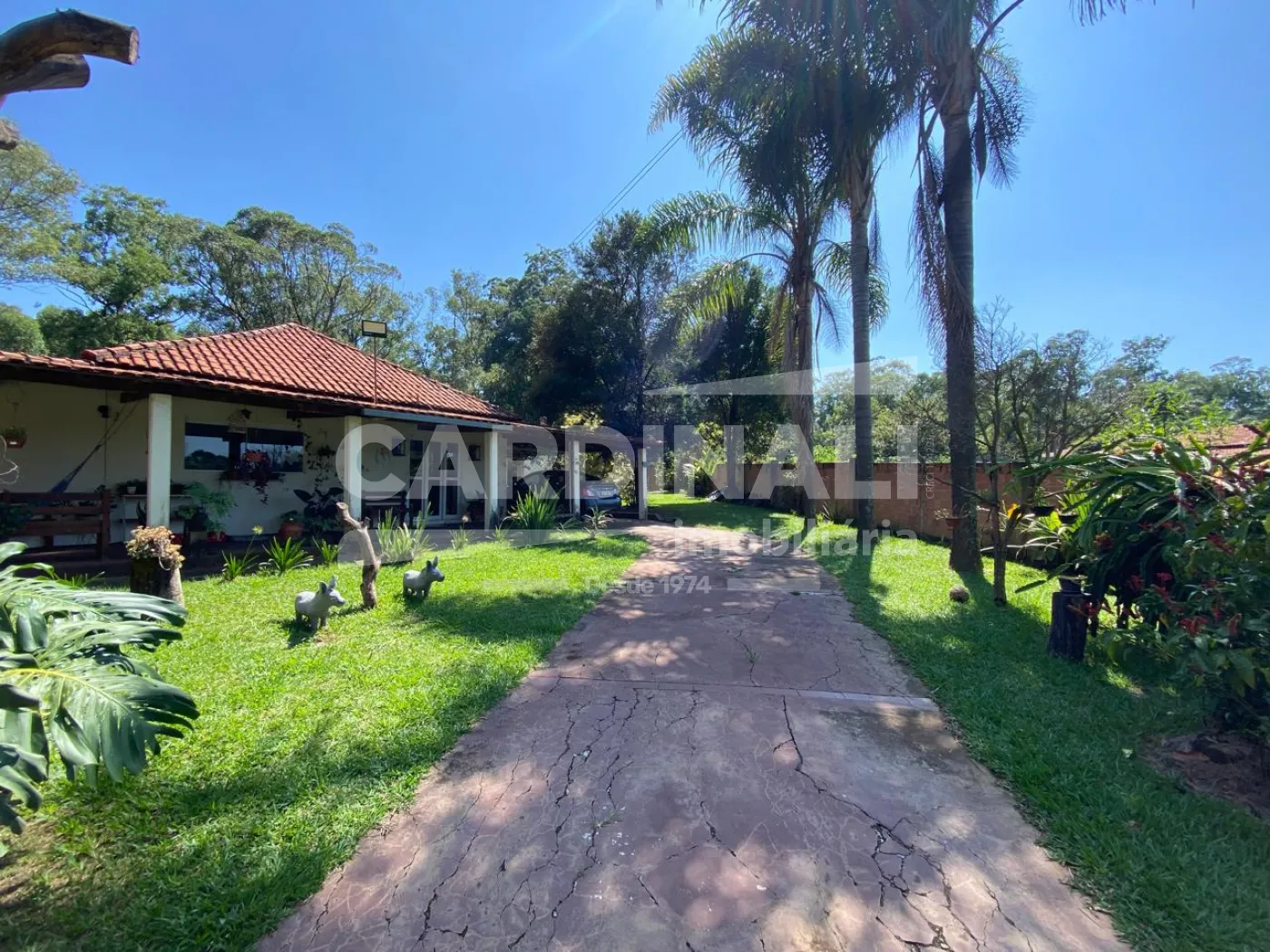 Rural / Chácara em São Carlos , Comprar por R$950.000,00