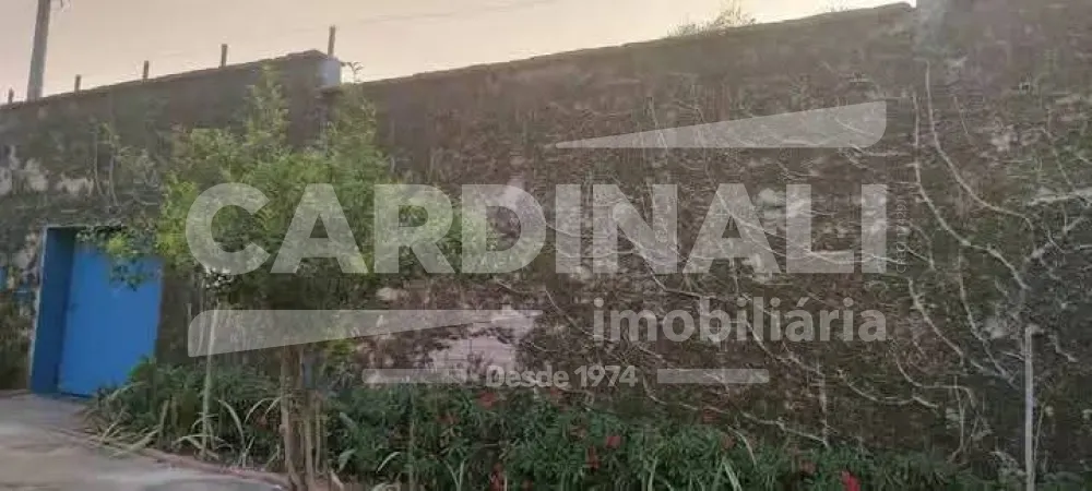 Alugar Casa / Padr&atilde;o em S&atilde;o Carlos R$ 3.334,00 - Foto 1