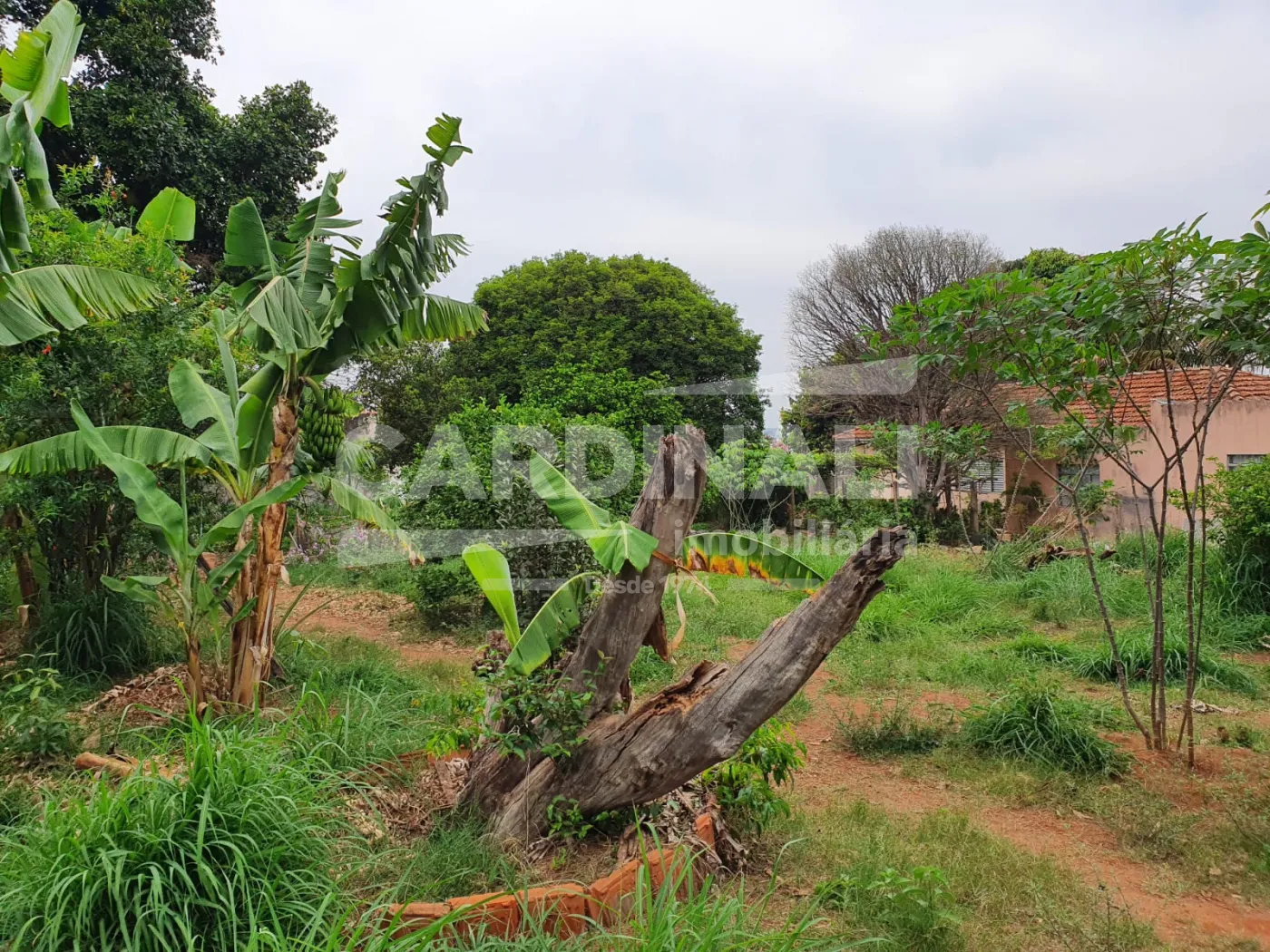 Terreno / Padrão em Araraquara , Comprar por R$420.000,00