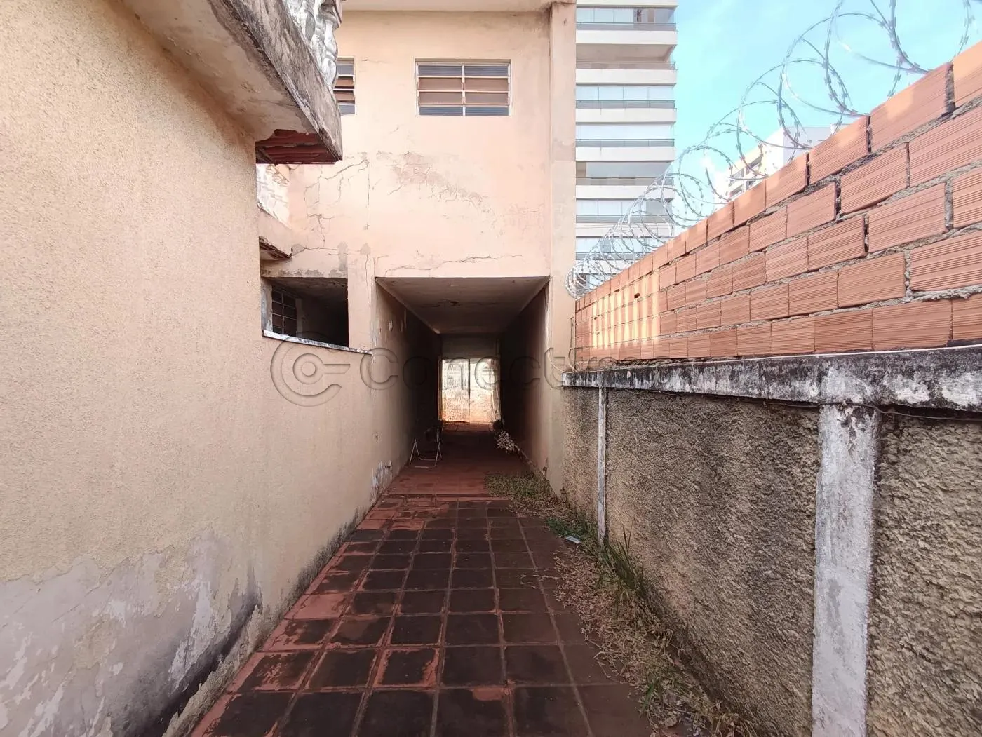Alugar Casa / Sobrado em Ribeir&atilde;o Preto R$ 3.000,00 - Foto 11