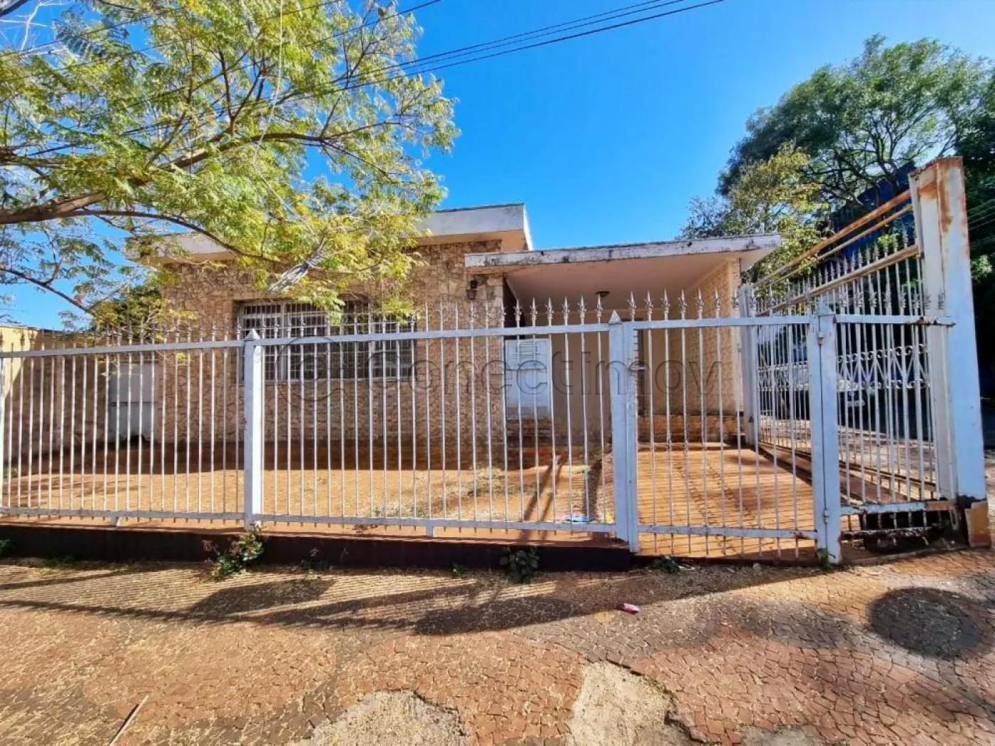 Alugar Casa / Padr&atilde;o em Ribeir&atilde;o Preto R$ 5.000,00 - Foto 1