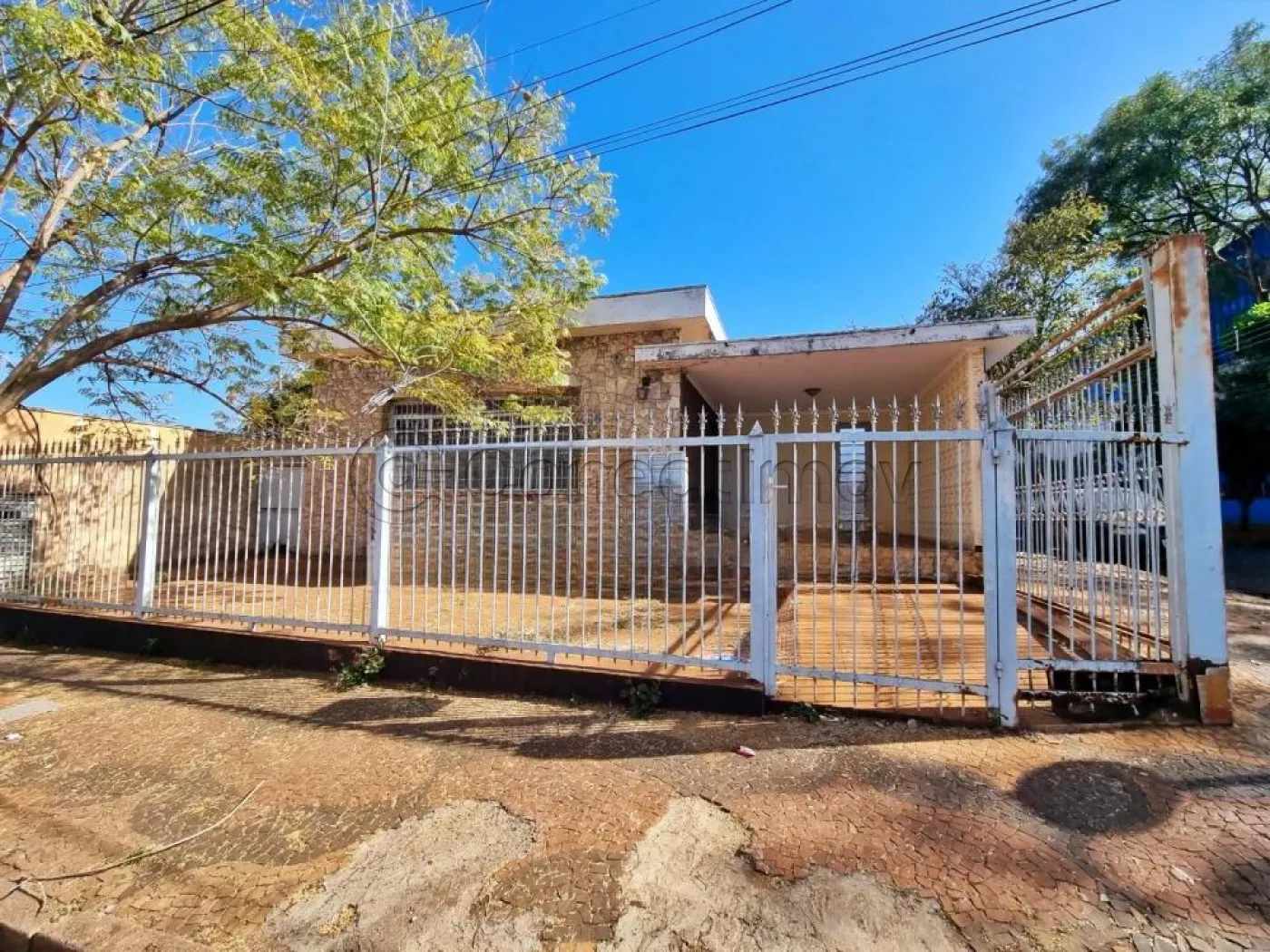 Alugar Casa / Padr&atilde;o em Ribeir&atilde;o Preto R$ 5.000,00 - Foto 5