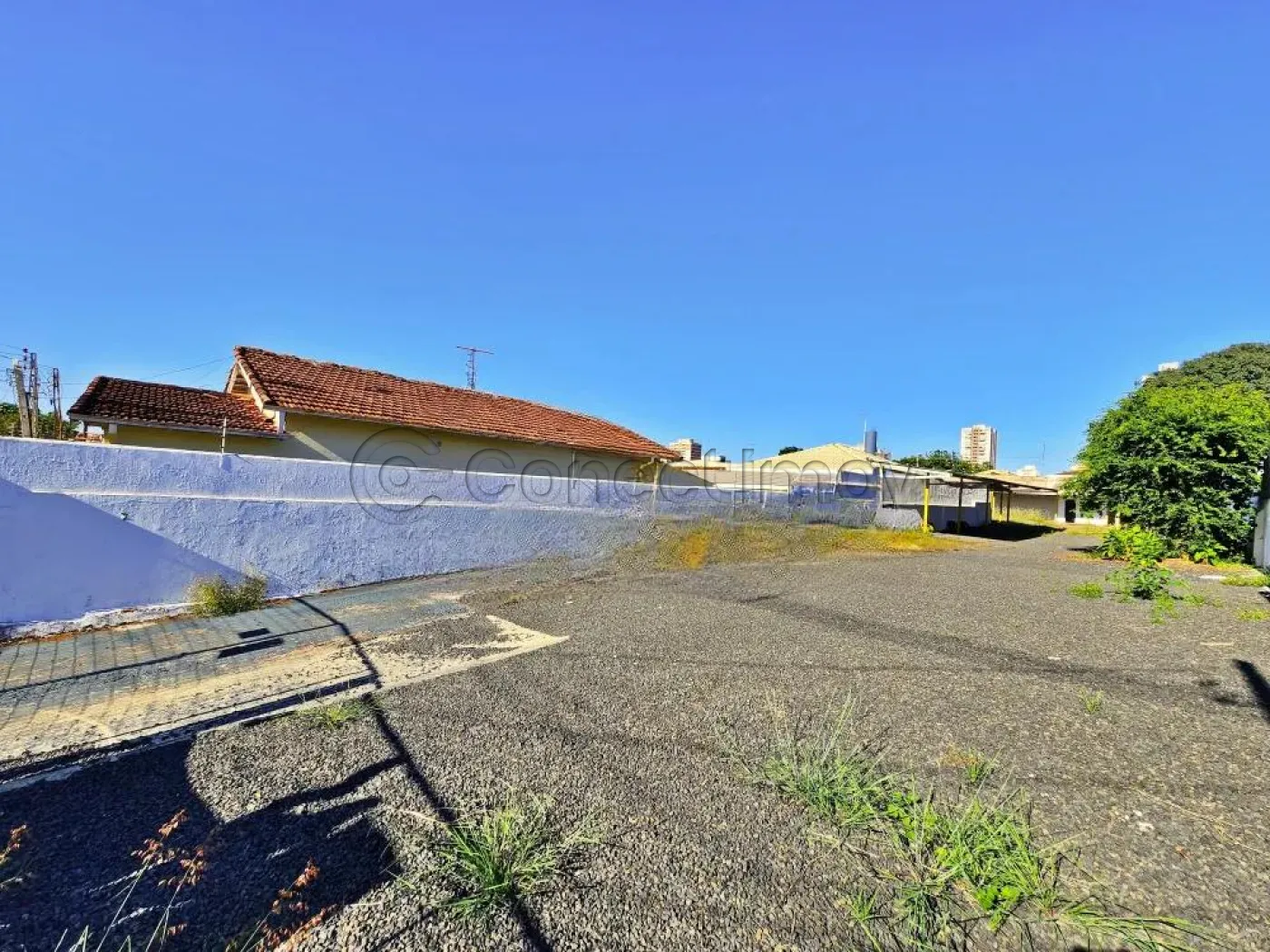 Alugar Comercial / Padr&atilde;o em Ribeir&atilde;o Preto R$ 5.000,00 - Foto 2