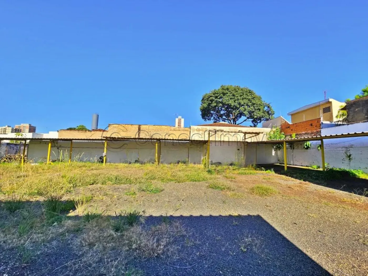 Alugar Comercial / Padr&atilde;o em Ribeir&atilde;o Preto R$ 5.000,00 - Foto 9