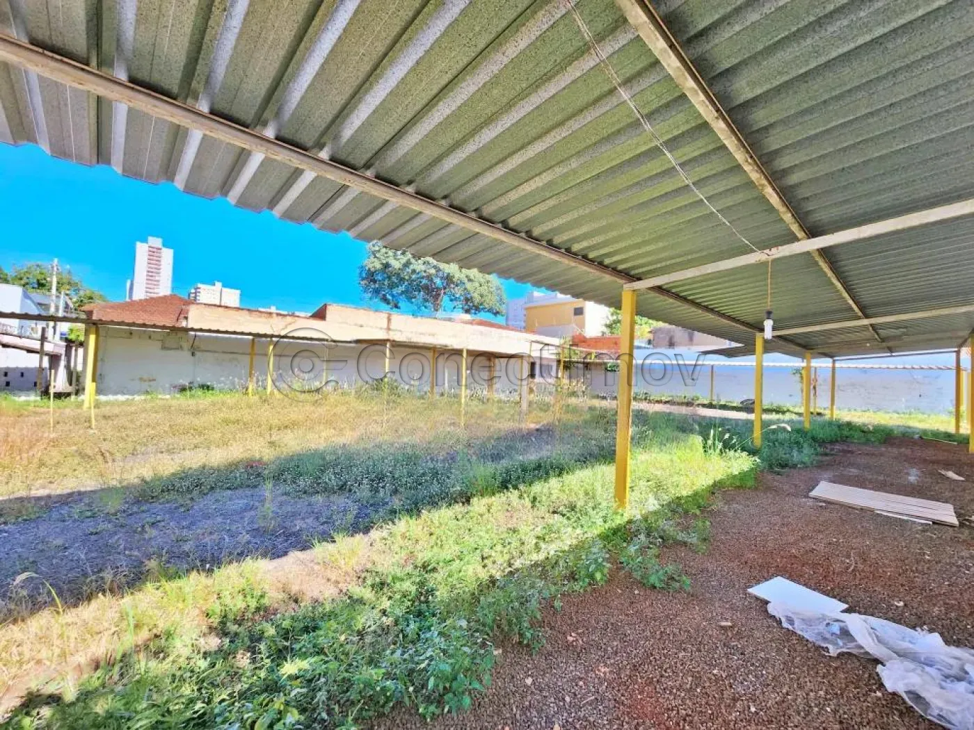 Alugar Comercial / Padr&atilde;o em Ribeir&atilde;o Preto R$ 5.000,00 - Foto 10