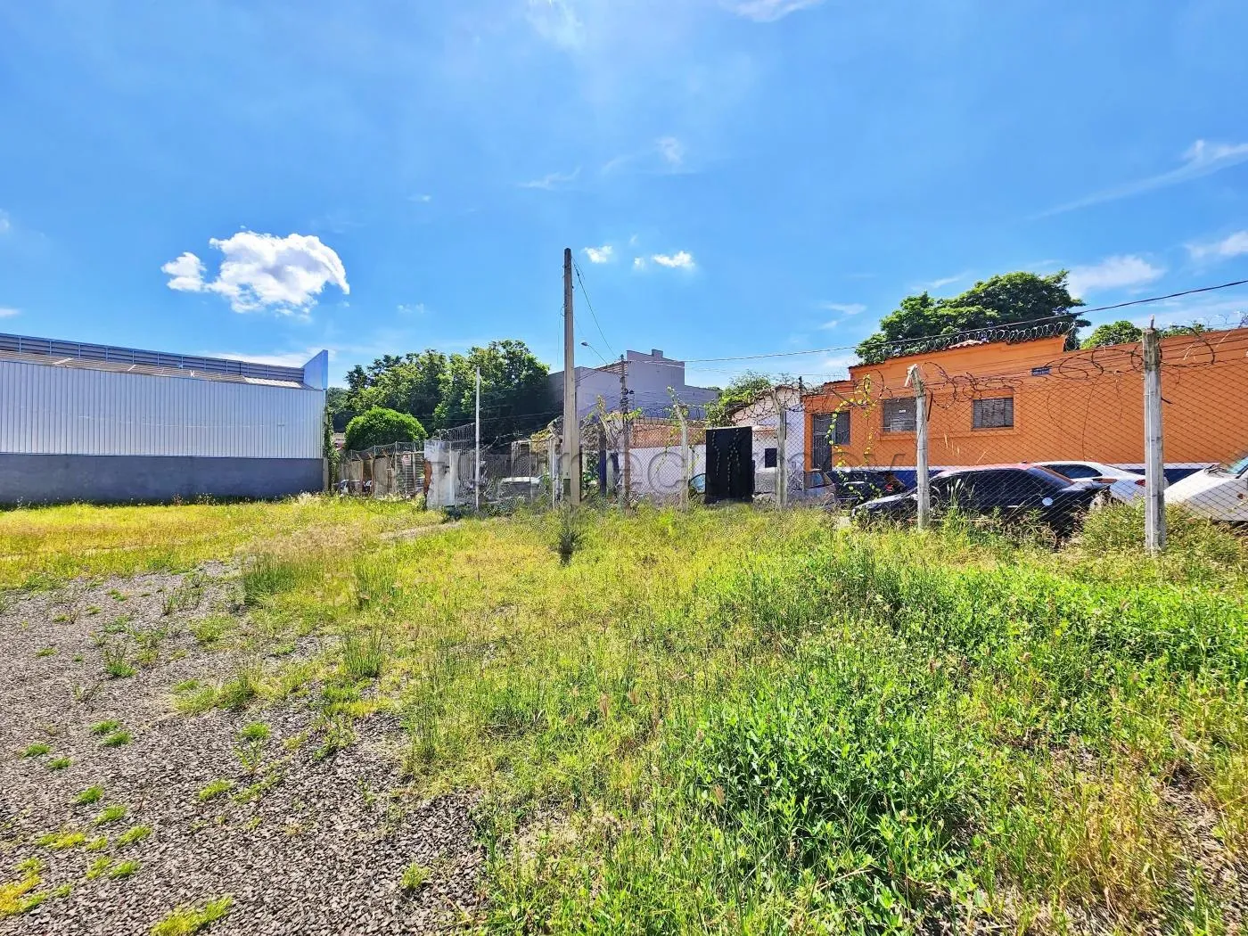 Alugar Comercial / Padr&atilde;o em Ribeir&atilde;o Preto R$ 6.000,00 - Foto 3