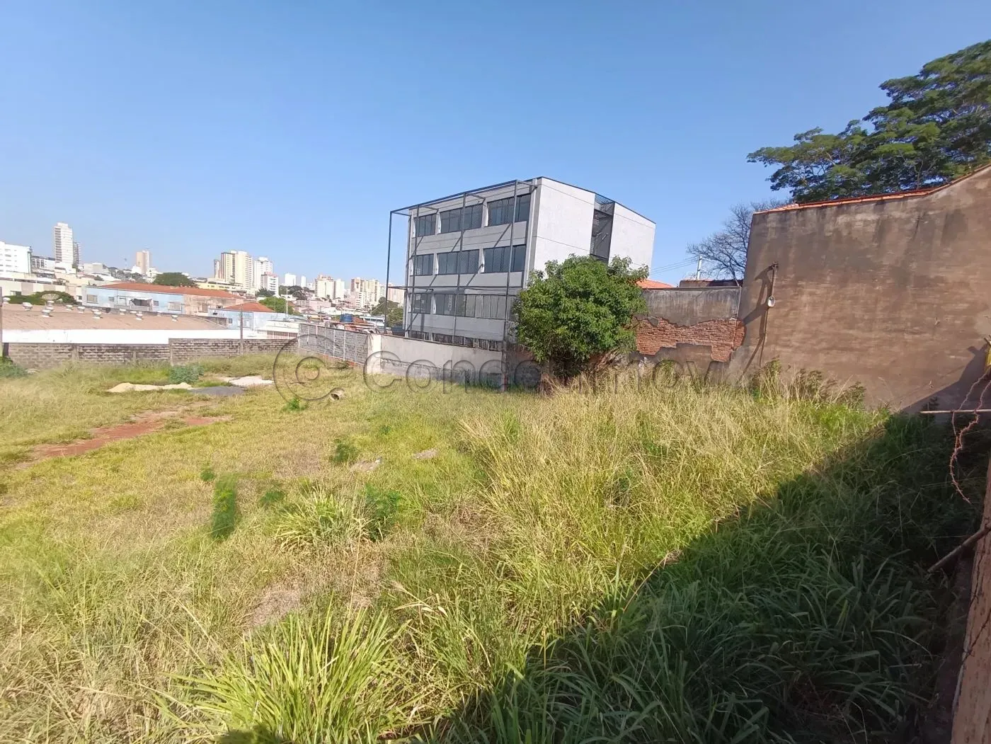 Alugar Terreno / Padr&atilde;o em Ribeir&atilde;o Preto R$ 3.500,00 - Foto 1