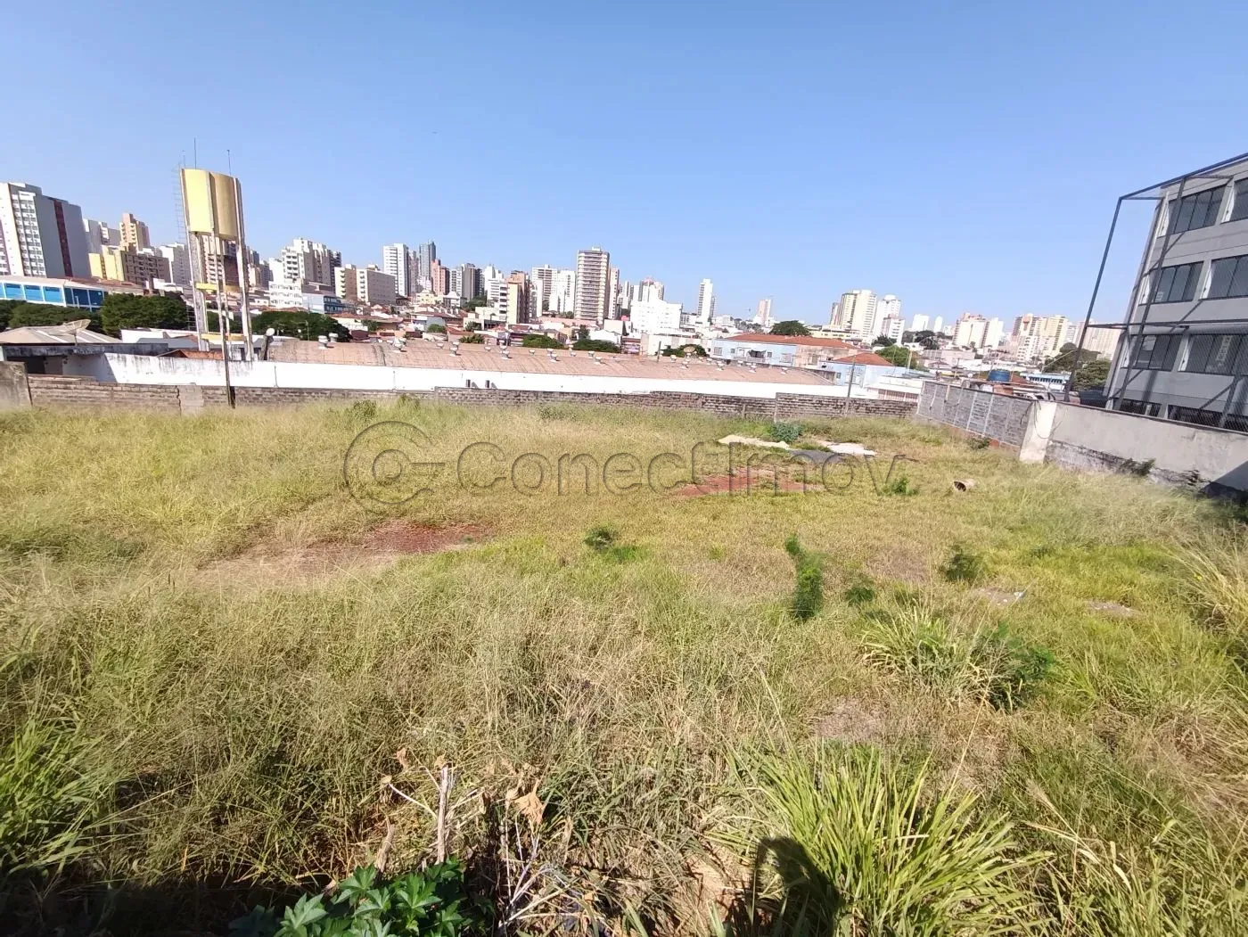 Alugar Terreno / Padr&atilde;o em Ribeir&atilde;o Preto R$ 3.500,00 - Foto 3