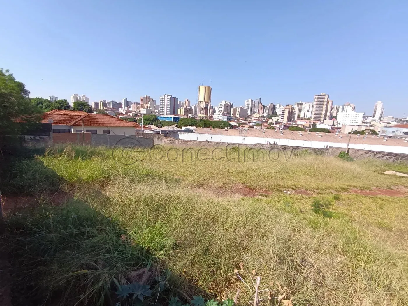 Alugar Terreno / Padr&atilde;o em Ribeir&atilde;o Preto R$ 3.500,00 - Foto 5