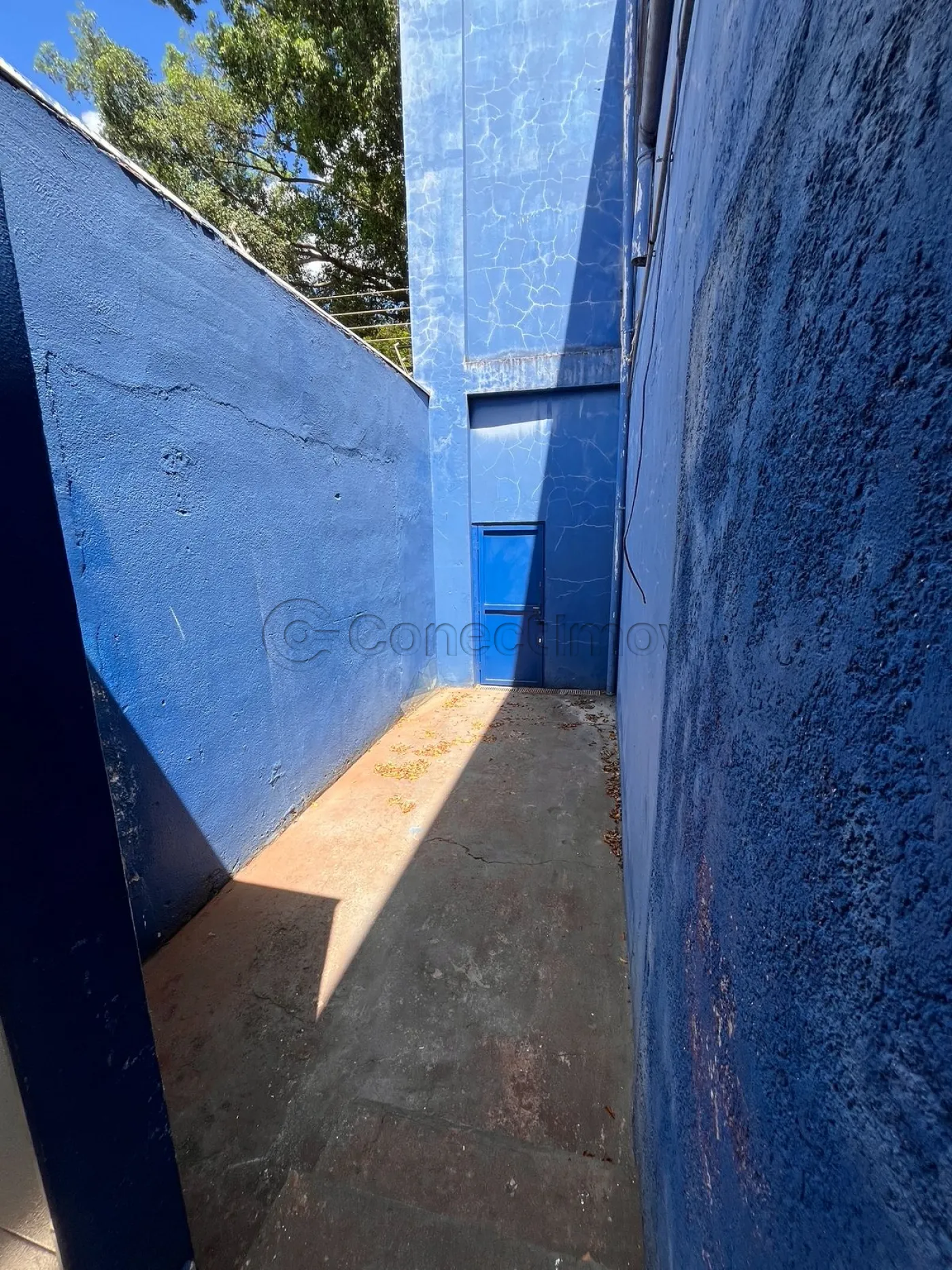 Alugar Comercial / Pr&eacute;dio sem Condom&iacute;nio em Ribeir&atilde;o Preto R$ 16.800,00 - Foto 18