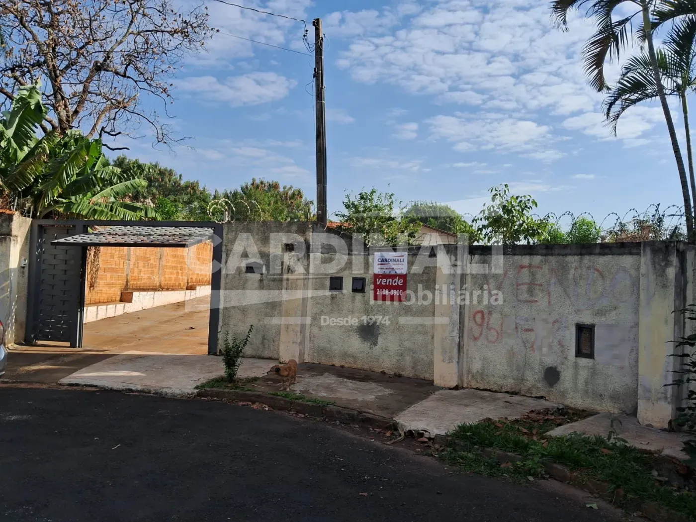 Terreno / Padrão em Araraquara , Comprar por R$170.000,00